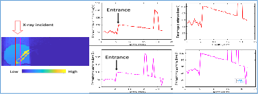 Composite image from a Monte Carlo simulation tool with five panels: the first panel is a color-coded diagram showing an 'X-ray incident' arrow pointing to a region, with a color scale from blue (low) to yellow (high). The remaining four panels are graphs displaying data points and lines, with two graphs featuring arrows labeled 'Entrance' indicating specific locations.